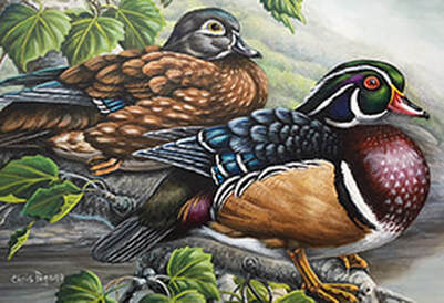Painting of two ducks by Chris Pagano